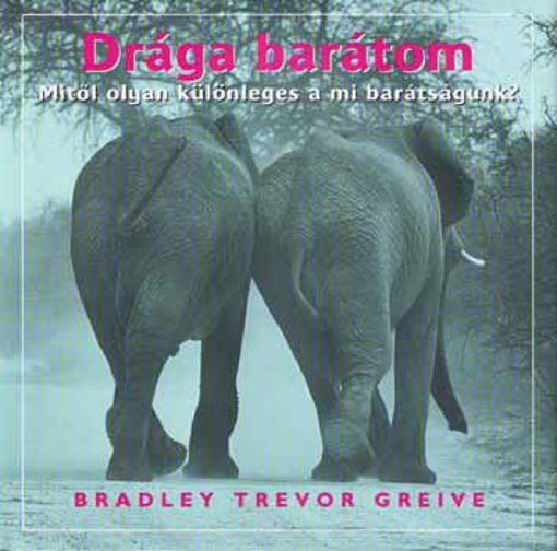 Drága barátom - Mitől olyan különleges a mi barátságunk? termékhez kapcsolódó kép