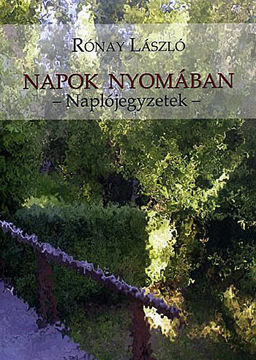 Napok nyomában - Naplójegyzetek termékhez kapcsolódó kép