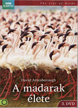 A madarak élete 3. termékhez kapcsolódó kép