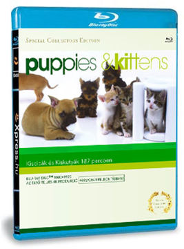Kiscicák és kiskutyák (BD4K) termékhez kapcsolódó kép