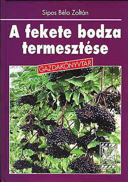 A fekete bodza termesztése termékhez kapcsolódó kép