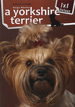 A yorkshire terrier termékhez kapcsolódó kép