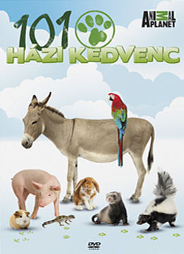 101 házi kedvenc termékhez kapcsolódó kép