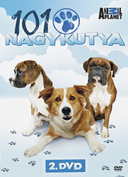 101 nagykutya - 2. lemez termékhez kapcsolódó kép
