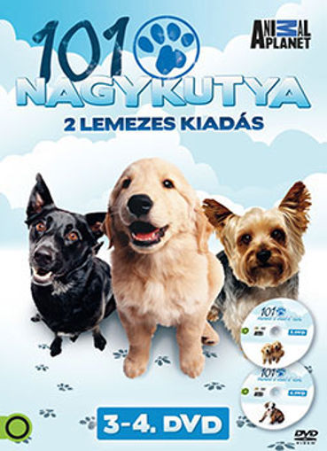 101 nagykutya 3-4. (2 DVD) termékhez kapcsolódó kép