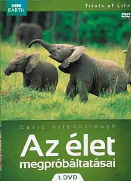 Az élet megpróbáltatásai 1. termékhez kapcsolódó kép