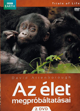 Az élet megpróbáltatásai 2. termékhez kapcsolódó kép