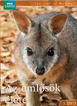 Az emlősök élete 1. termékhez kapcsolódó kép