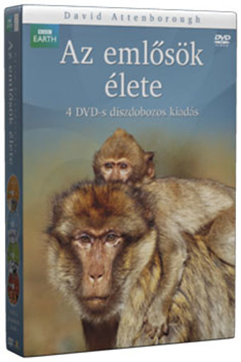 Az emlősök élete - díszdoboz (4 DVD) termékhez kapcsolódó kép