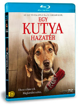 Egy kutya hazatér termékhez kapcsolódó kép