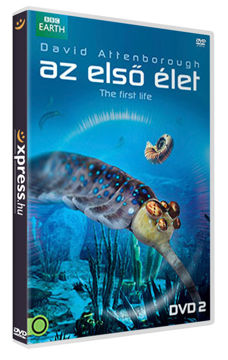 Az első élet 2. termékhez kapcsolódó kép