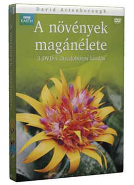 A növények magánélete gyűjtemény (3 DVD) termékhez kapcsolódó kép