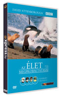 Az élet megpróbáltatásai (4 DVD) termékhez kapcsolódó kép