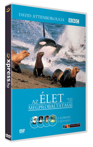 Az élet megpróbáltatásai (4 DVD) termékhez kapcsolódó kép