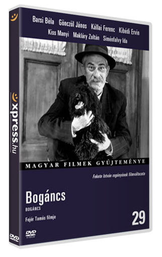 Bogáncs termékhez kapcsolódó kép