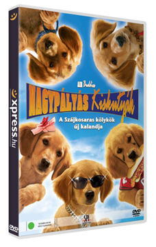 Nagypályás kiskutyák termékhez kapcsolódó kép