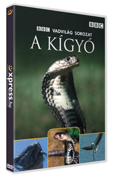 A kígyó termékhez kapcsolódó kép