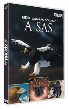 A sas termékhez kapcsolódó kép