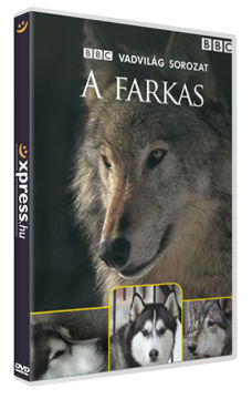 A farkas termékhez kapcsolódó kép