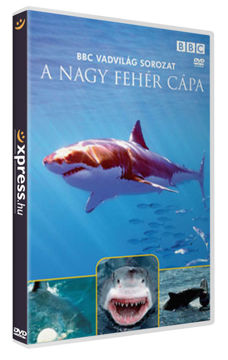 A nagy fehér cápa termékhez kapcsolódó kép