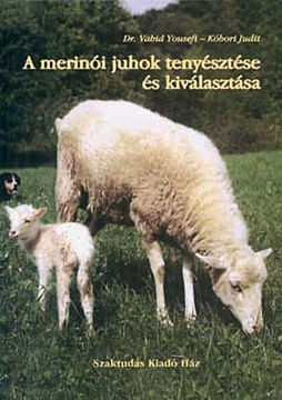 A merinói juhok tenyésztése és kiválasztása termékhez kapcsolódó kép