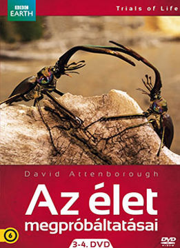 Az élet megpróbáltatásai 3-4. (2 DVD) termékhez kapcsolódó kép