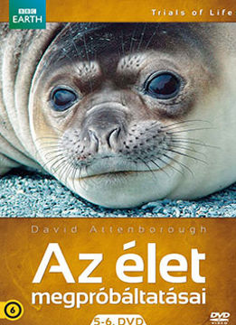 Az élet megpróbáltatásai 5-6. (2 DVD) termékhez kapcsolódó kép