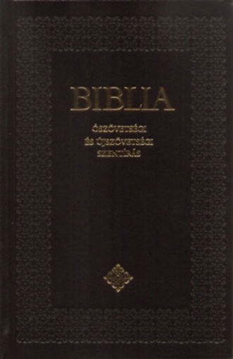 Biblia - Ószövetségi és Újszövetségi Szentírás - Sztenderd Biblia keménytáblás - fekete termékhez kapcsolódó kép