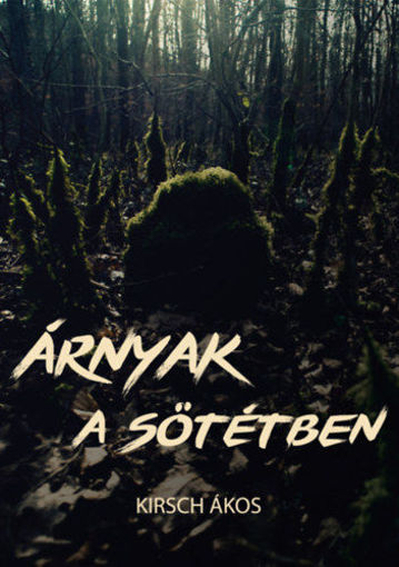 Árnyak a sötétben termékhez kapcsolódó kép