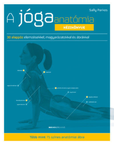 A jógaanatómia kézikönyve - 30 alappóz elemzésekkel, magyarázatokkal és ábrákkal termékhez kapcsolódó kép