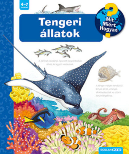 Tengeri állatok - Mit? Miért? Hogyan? termékhez kapcsolódó kép