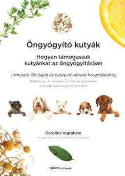 Öngyógyító kutyák - Hogyan támogassuk kutyánkat az öngyógyításban termékhez kapcsolódó kép