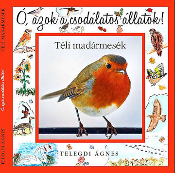 Ó, azok a csodálatos állatok! - Téli madármesék - Ó, azok a csodálatos állatok! termékhez kapcsolódó kép