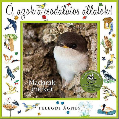 Ó, azok a csodálatos állatok! - Madarak énekei termékhez kapcsolódó kép