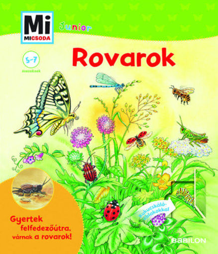 Rovarok - Kukucskáló ablakokkal - Mi Micsoda Junior termékhez kapcsolódó kép