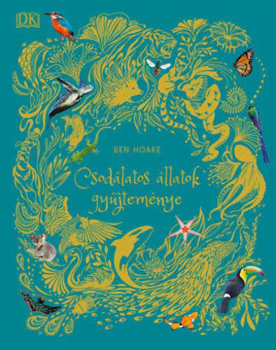 Csodálatos állatok gyűjteménye termékhez kapcsolódó kép