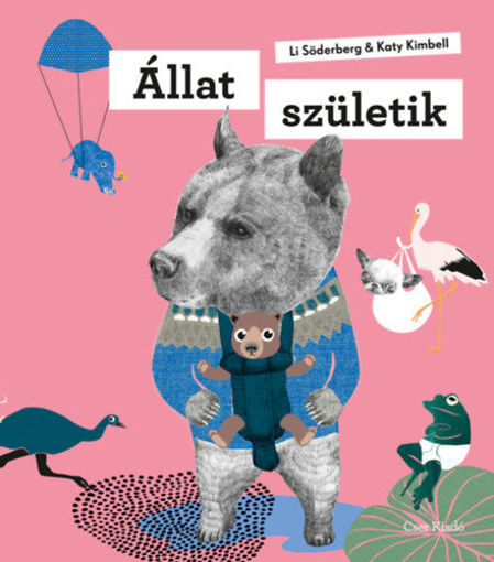 Állat születik termékhez kapcsolódó kép