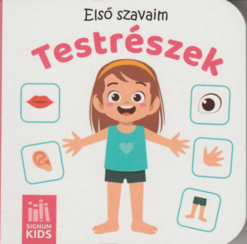 Első szavaim - Testrészek termékhez kapcsolódó kép