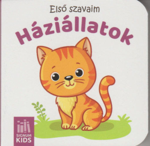 Első szavaim - Háziállatok termékhez kapcsolódó kép