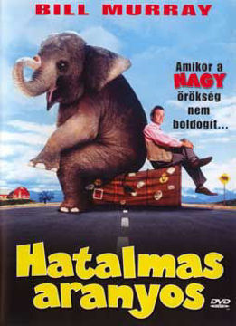 Hatalmas aranyos termékhez kapcsolódó kép