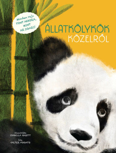 Állatkölykök közelről termékhez kapcsolódó kép