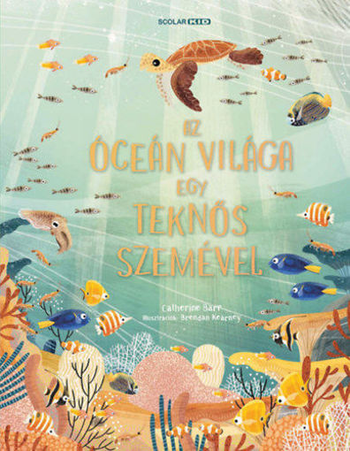 Az óceán világa egy teknős szemével termékhez kapcsolódó kép