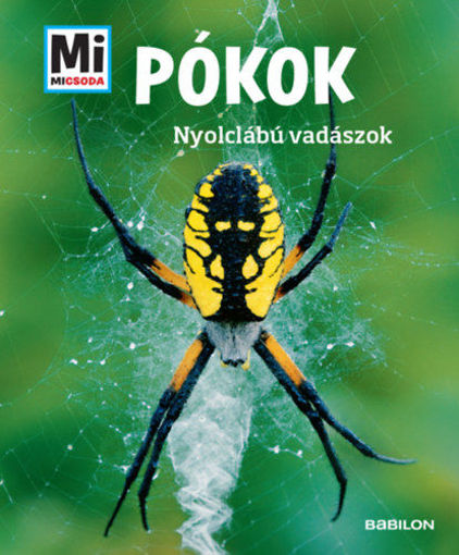 Pókok - Nyolclábú vadászok - Mi Micsoda termékhez kapcsolódó kép