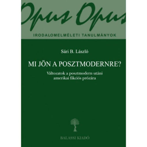 Mi jön a posztmodernre? - Változatok a posztmodern utáni amerikai fikciós prózára termékhez kapcsolódó kép