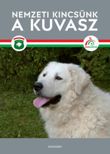 Nemzeti kincsünk a kuvasz termékhez kapcsolódó kép