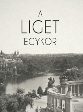 A Liget egykor termékhez kapcsolódó kép