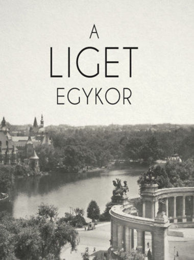 A Liget egykor termékhez kapcsolódó kép