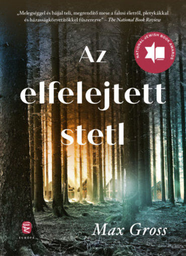Az elfelejtett stetl termékhez kapcsolódó kép