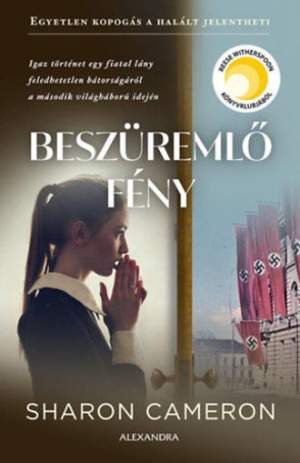 Beszüremlő fény termékhez kapcsolódó kép