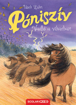 Póniszív - Vadló a viharban termékhez kapcsolódó kép